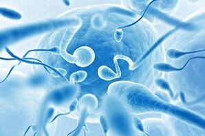 sperm in male ejaculation during arousal